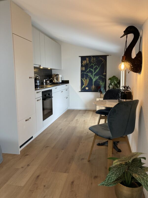 Apartment 201 3